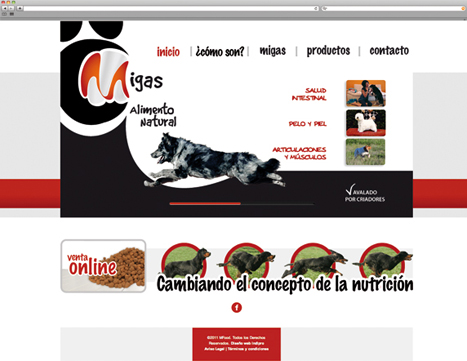 Diseño web - Indiproweb - Mfood